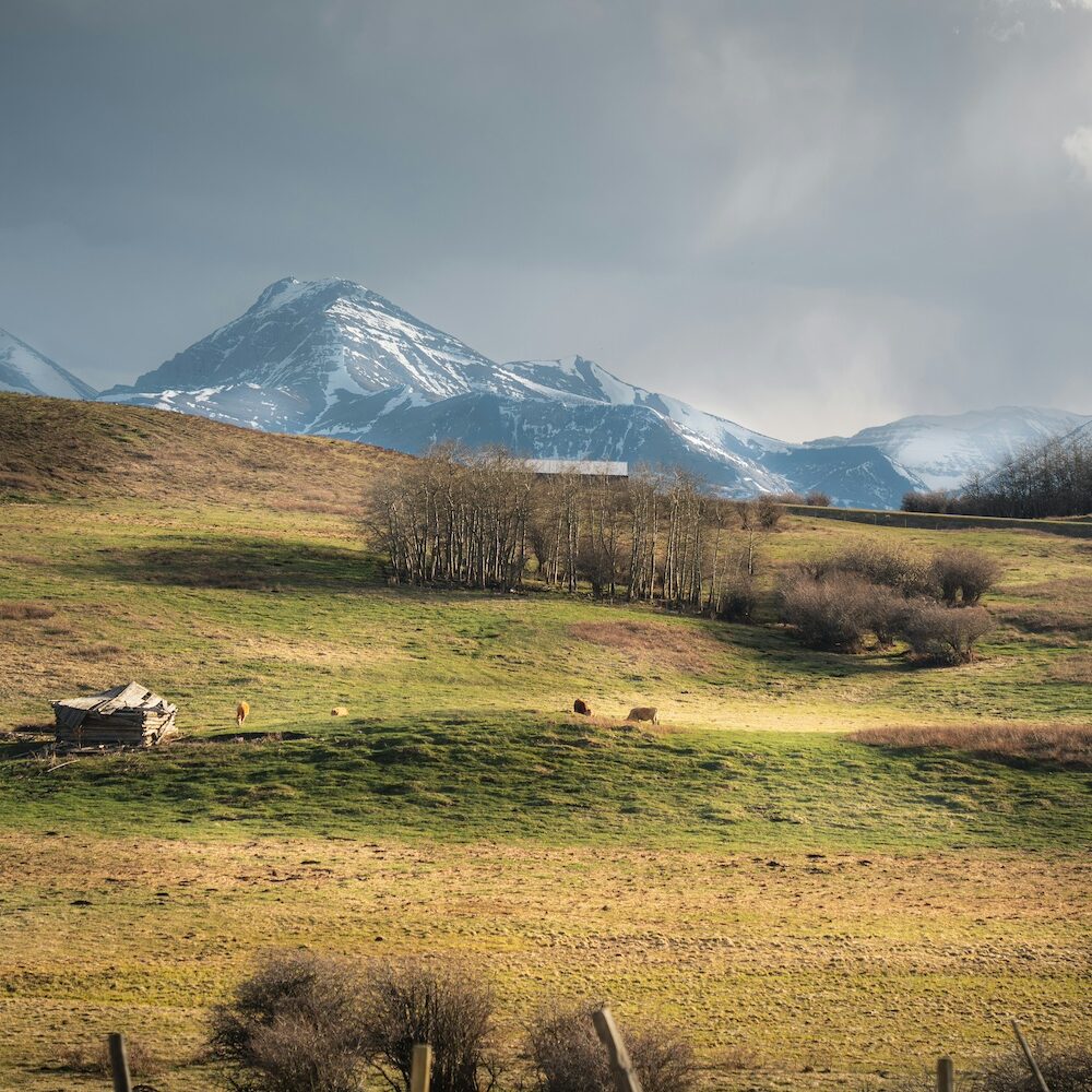 igor-kyryliuk-tetiana-kravchenko-KhPl2nonJ-4-unsplash