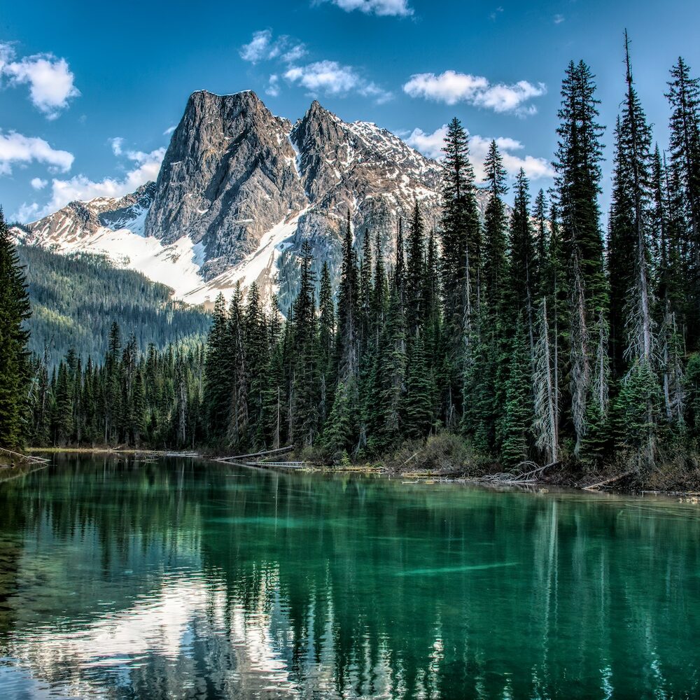trevor-mckinnon-ALTWTTtYz5Y-unsplash